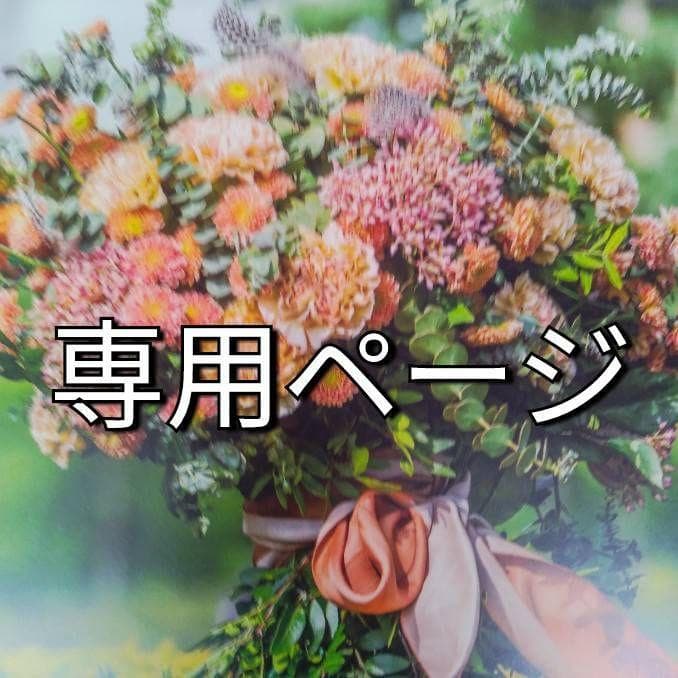 ゲジー（感謝）2月8日ご購入