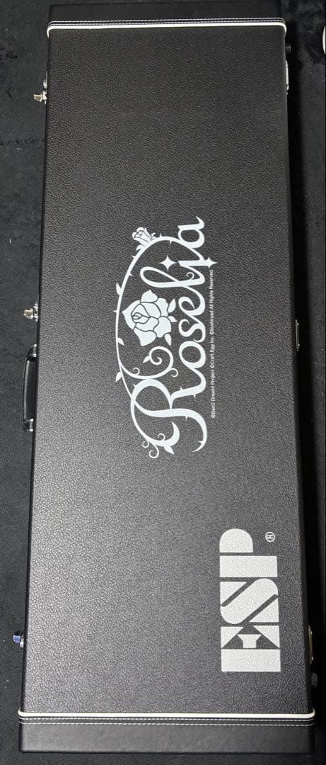 ギター Roselia ESP M-II SAYO II