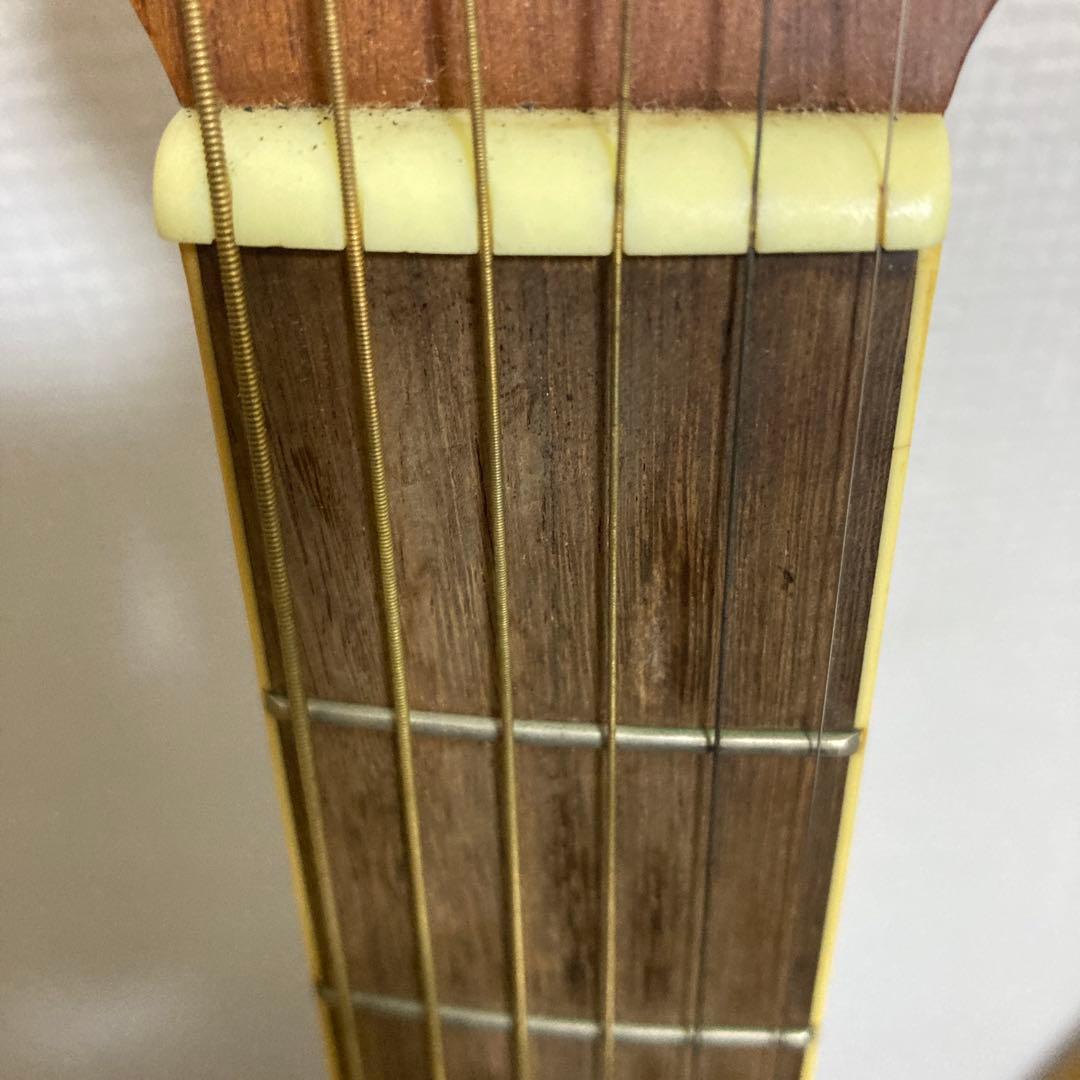 Ovation エレアコ　CP257