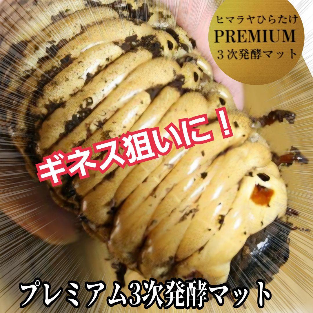 極上！プレミアム3次発酵カブトムシマット【80リットル】幼虫の餌、産卵にも抜群！