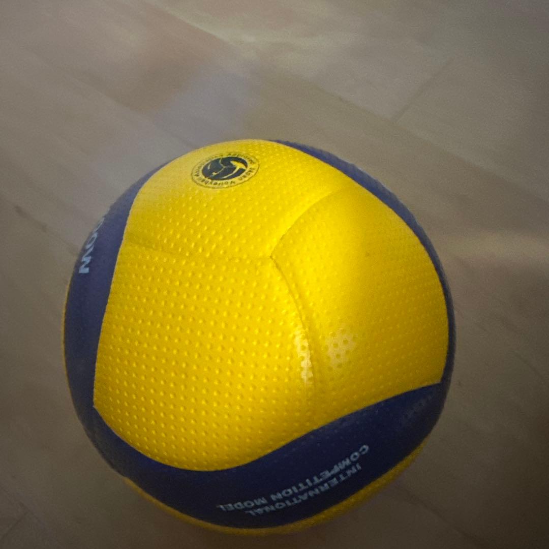 パナソニック パンサーズ 直筆サインボール