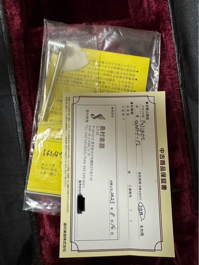 ギター FUJIGEN EFL-FM/VV