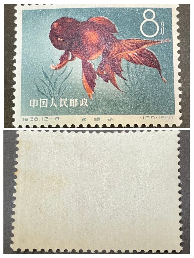 【未使用】中国切手　特38 金魚　12種完