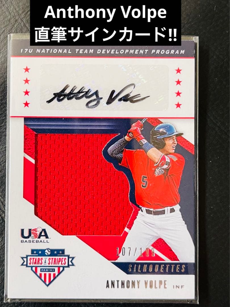 2019 Panini Anthony Volpe auto 直筆サイン　シリ