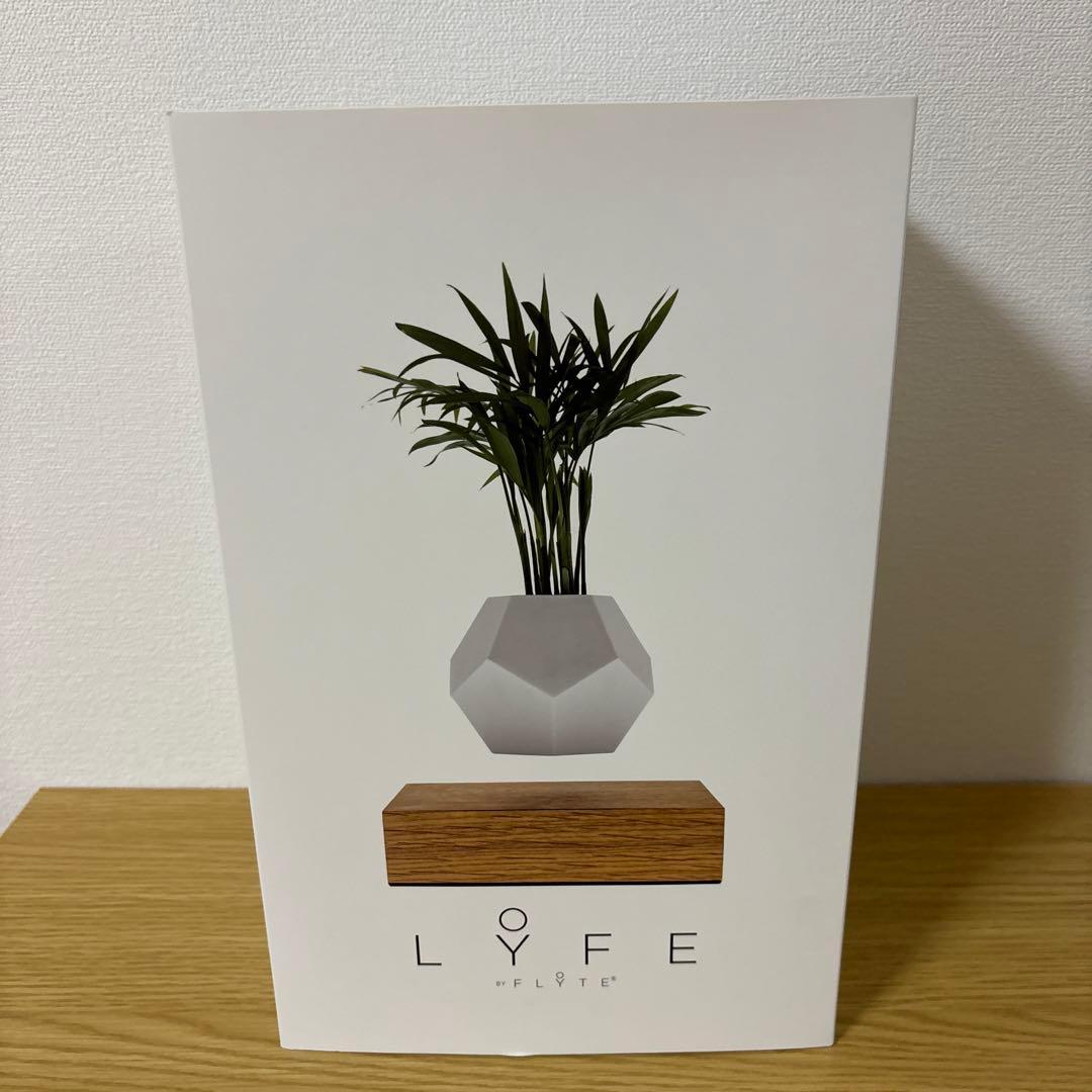 磁力で空中に浮かぶプランター　FLYTE LYFE