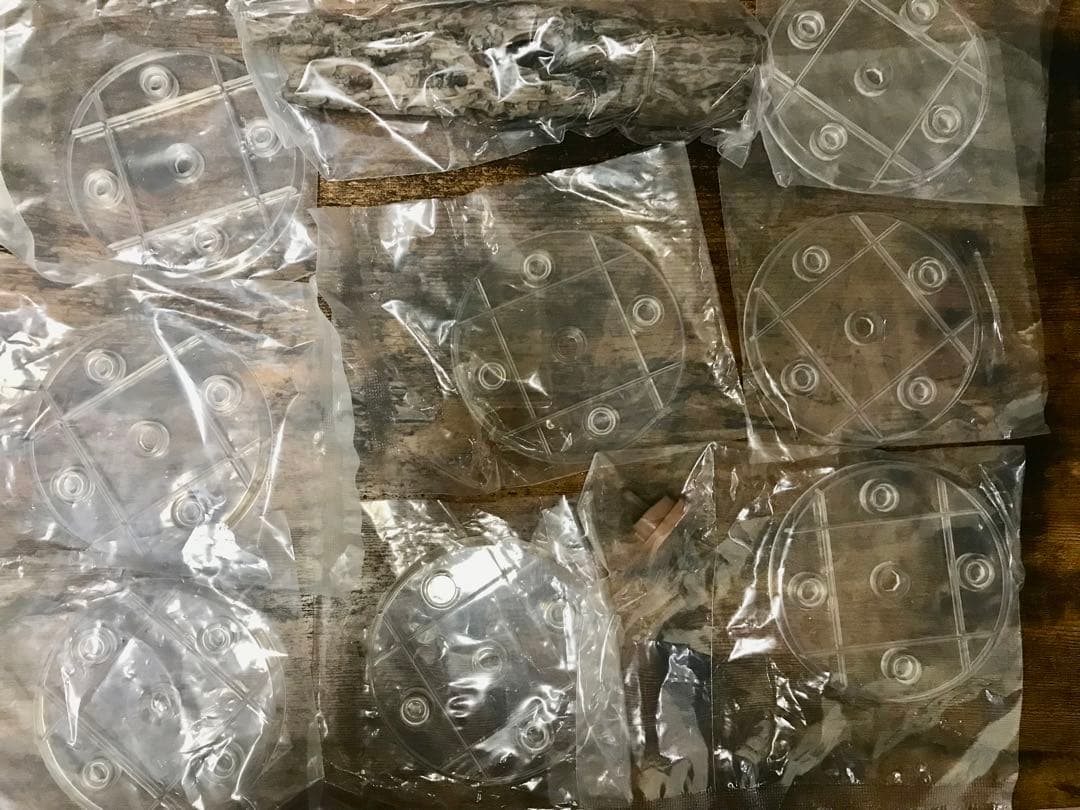 いきもの大図鑑　ディスプレイスタンド　8セット