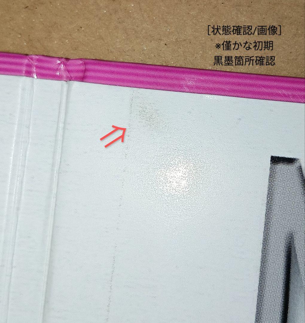 【セレッソ大阪×J加盟10th】『森島寛晃』直筆サイン入りカードアルバム