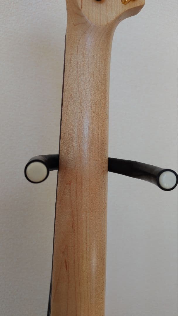 ギター FERNANDES DIGI-ZO HYPER