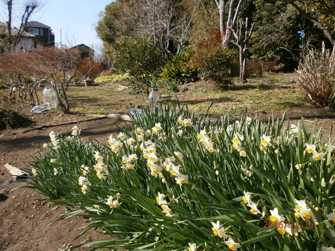 追加あり⭕️美品【動作確認済】OLYMPUS VG-110　オリンパス