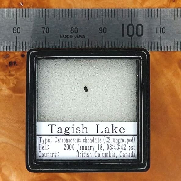 彗星のカケラ！Tagish Lake 隕石 標本
