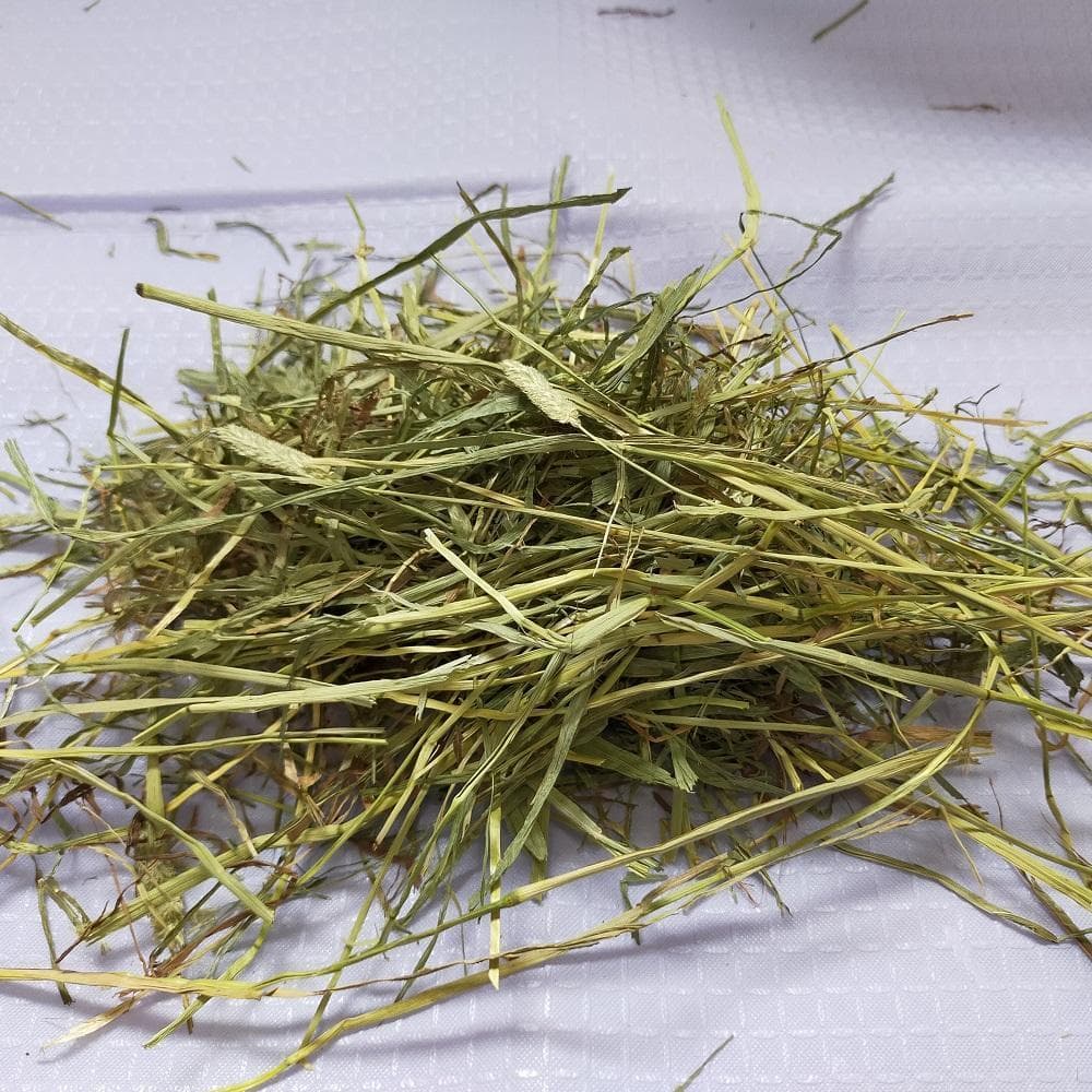 【処分価格】US産 チモシー 75kg ２番刈 ソフトSプレミアム