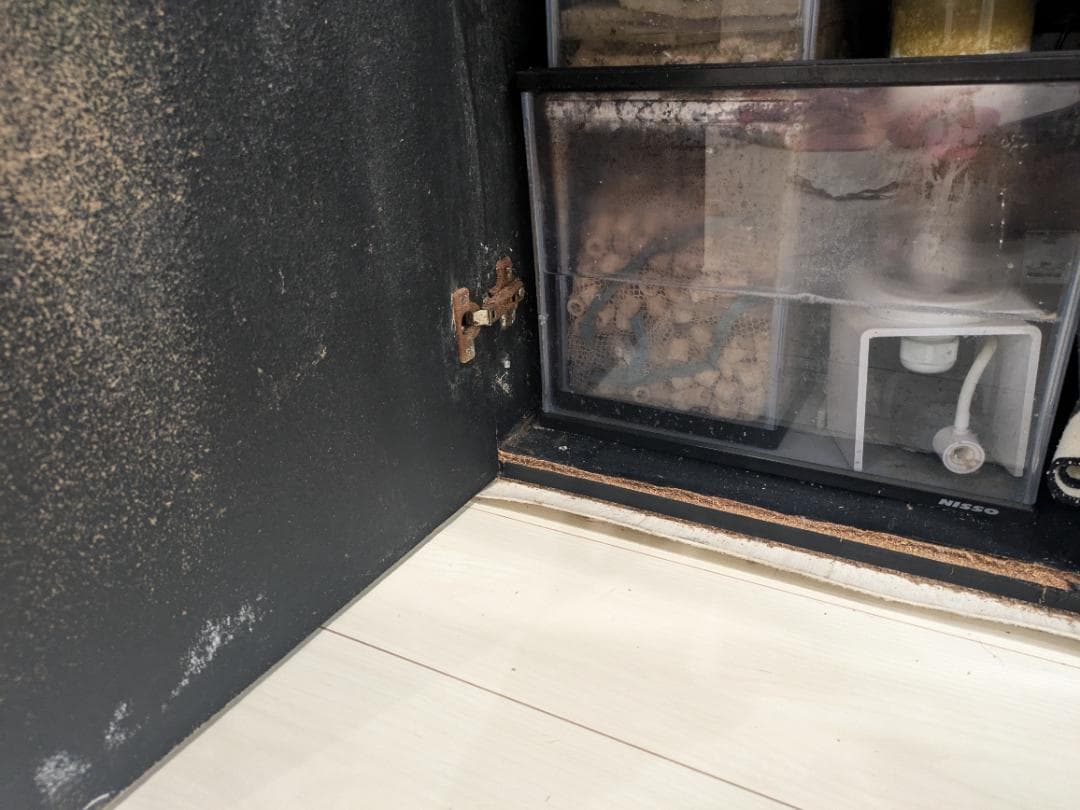 オーバーフロー　水槽　45センチ