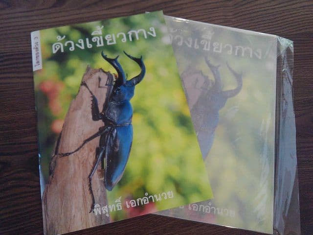 【輸入本】タイの専門書【クワガタ】