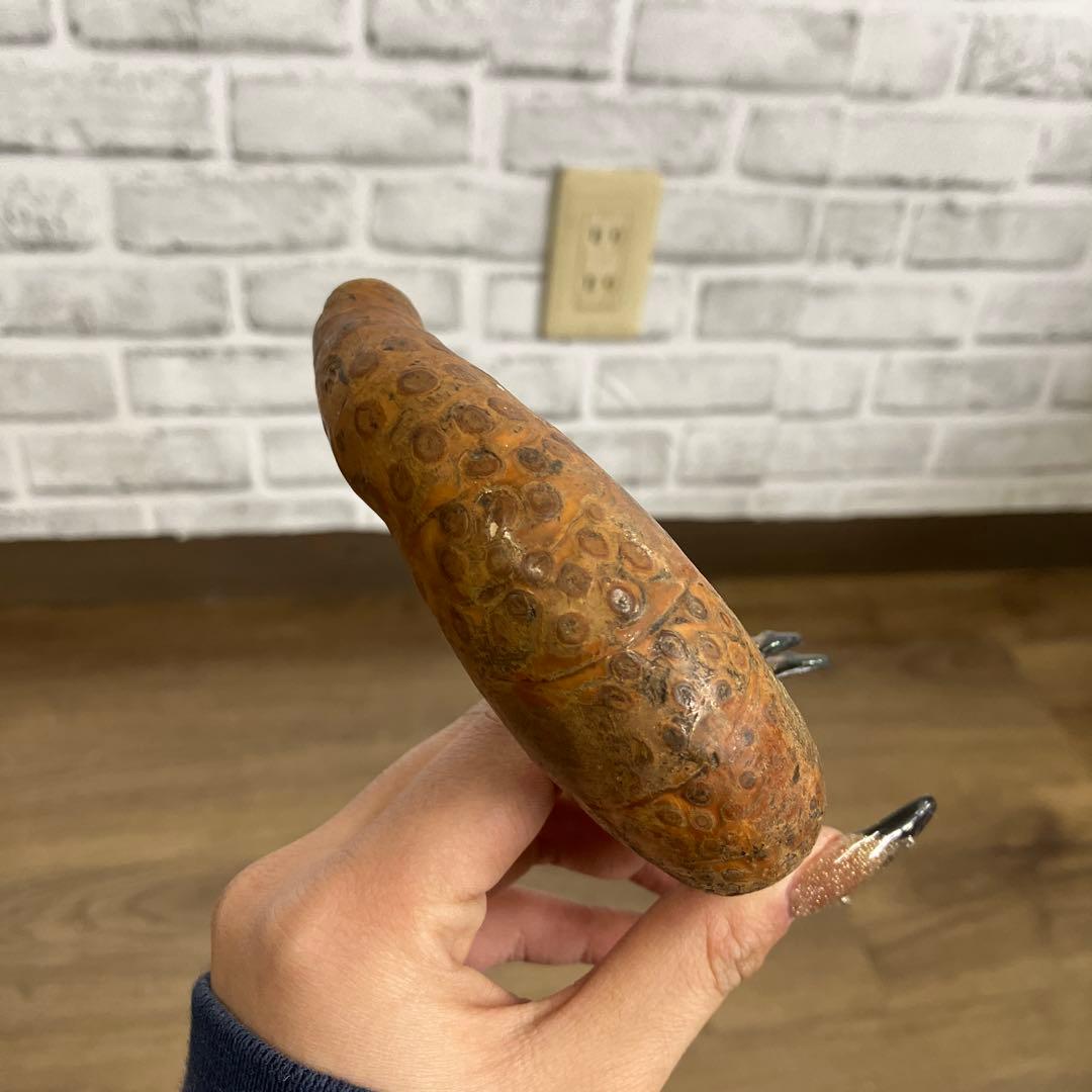 B-2 天然素材 根竹 ステッキ 杖 一本杖 アンティーク レトロ 根曲がり竹