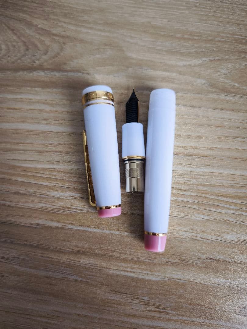 【希少】Sailor 万年筆　「春を待つシマエナガ」　限定200本