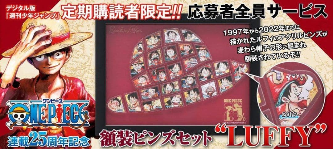 ワンピース 25th ピンバッジ