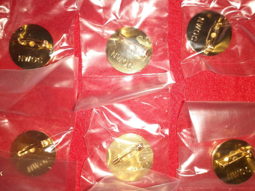 長野オリンピック　招致　ALPS　ピンバッジ　20個まとめ