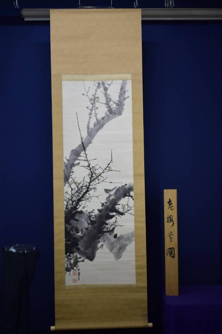 真作/高橋秋華/老梅図/桐共箱付/布袋屋掛軸HE-516