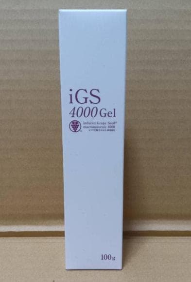 PHYSICAL iGS4000 Gel 100ｇ 新品未開封