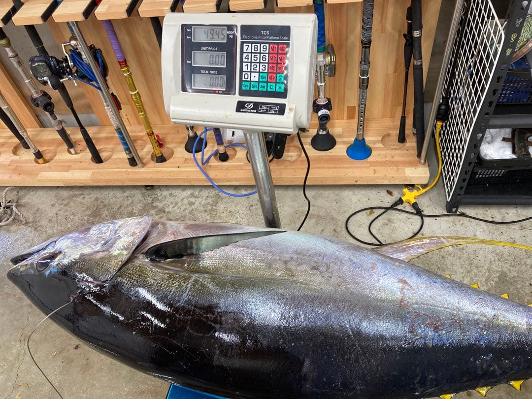 ルアーキラー ゲームロッド 新品未使用 マグロ クエにお勧め！！