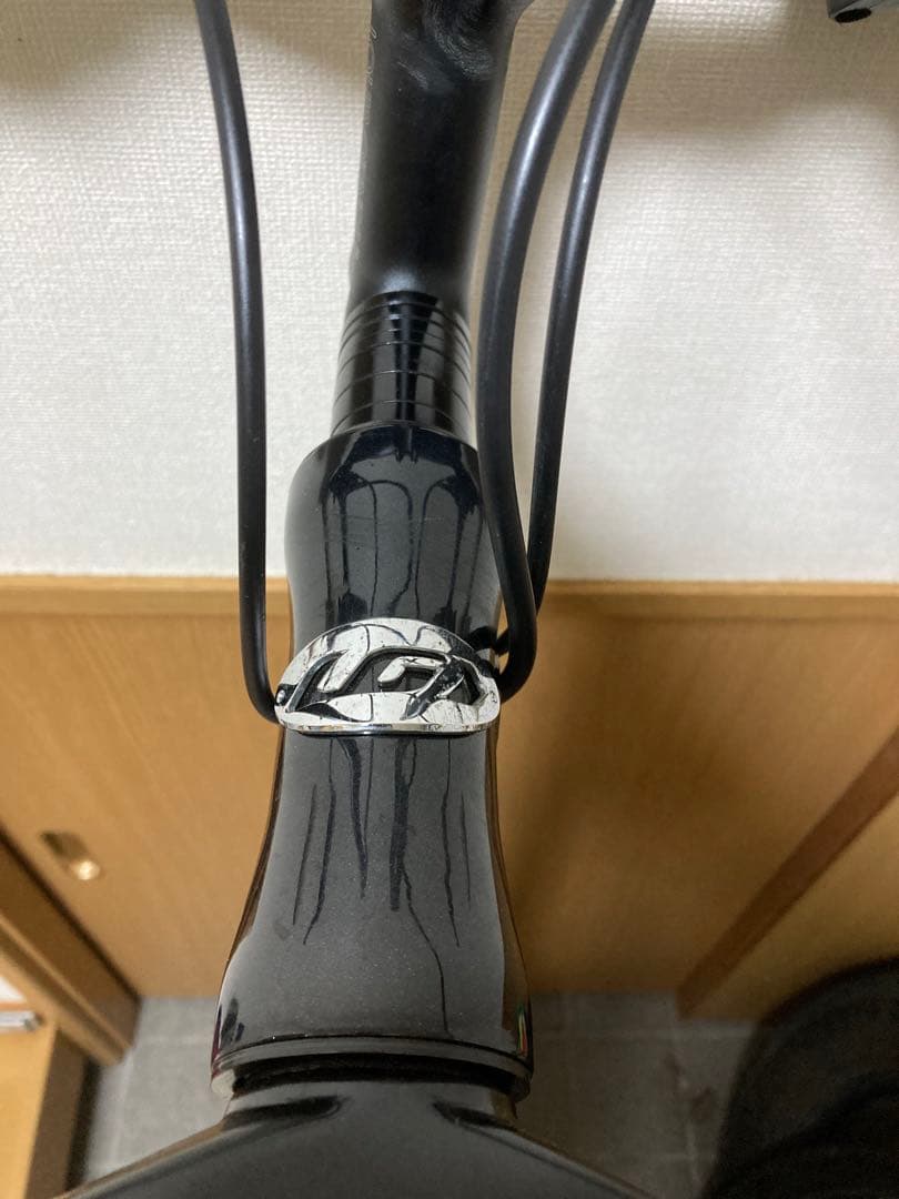 ルイガノ　確認用