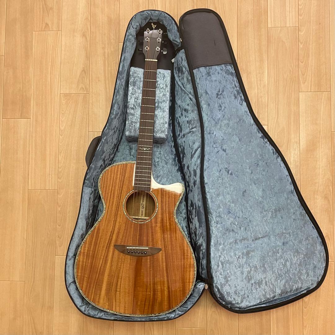 美品/DCT GR-641KCE/エレアコ/ギター/Martinギターケース付き