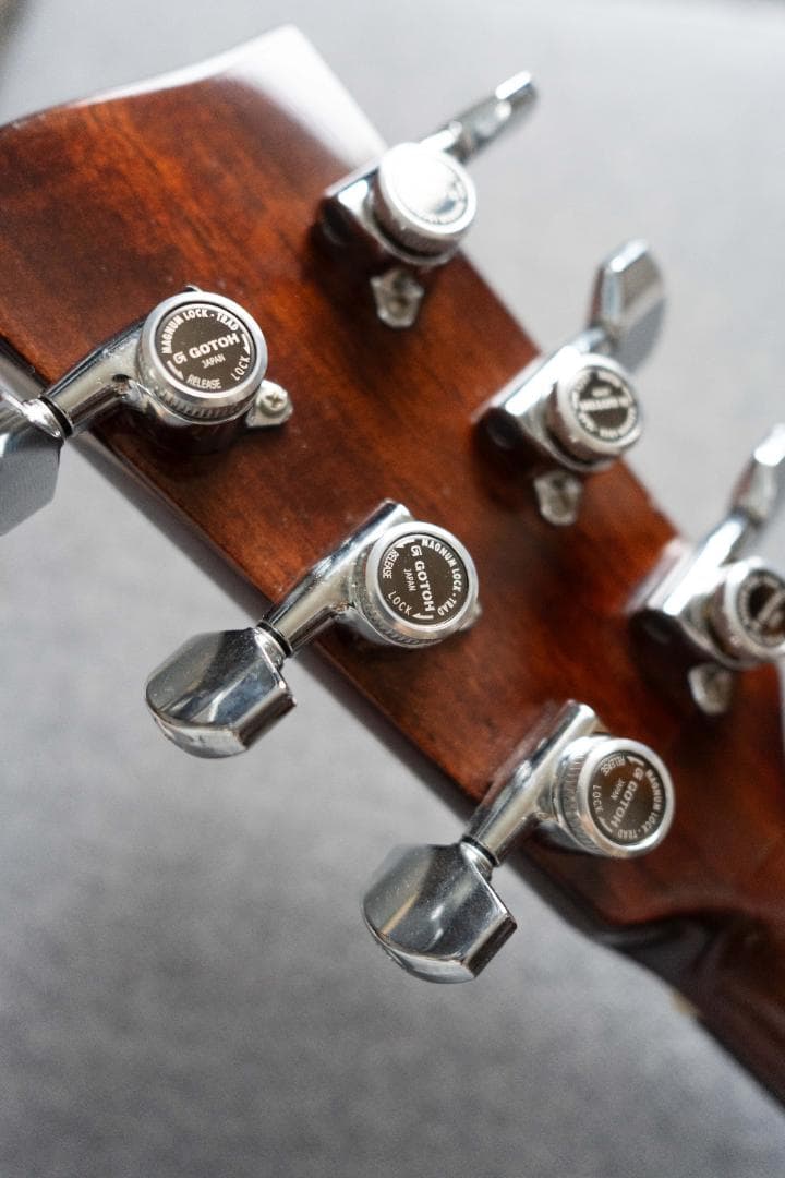 Recording King RO-G6 【美品】OOOタイプ 新品ギグバッグ