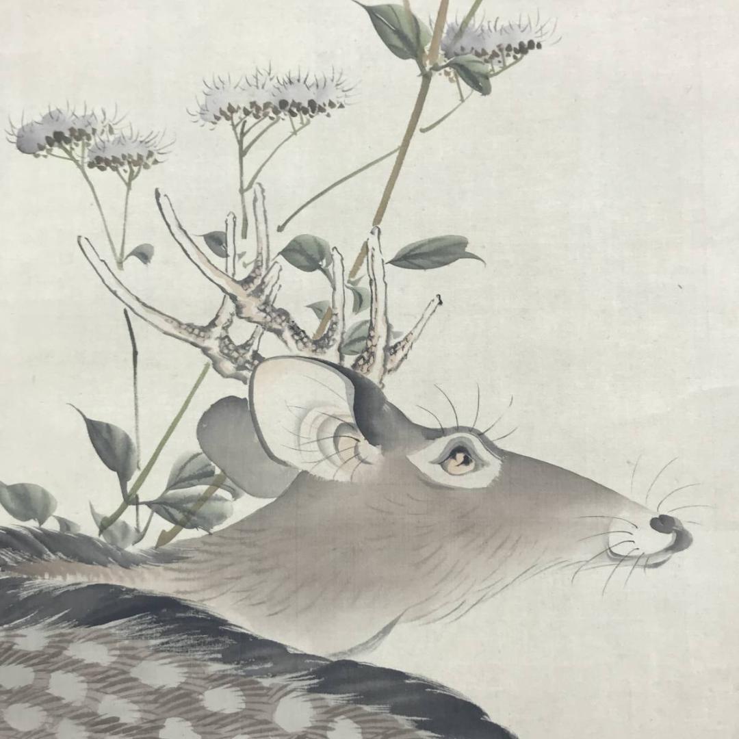 【真作】西山芳園/草花鹿図/鹿図/花鳥図/掛軸☆宝船☆AD-494