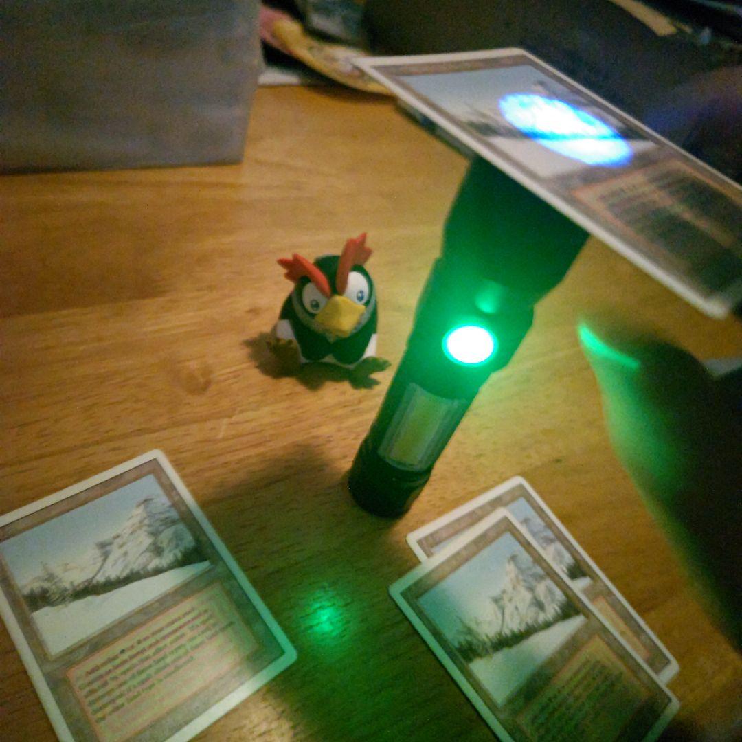 【断捨離】MTG 悲しみのtaiga 4枚