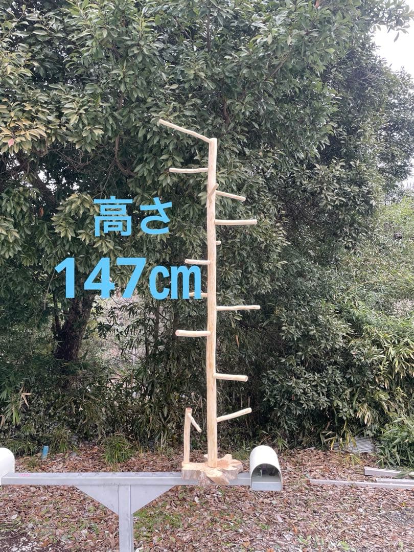 【訳あり】国産ヒノキ　鳥用止まり木　大型スタンド　約147センチ　中型インコ用