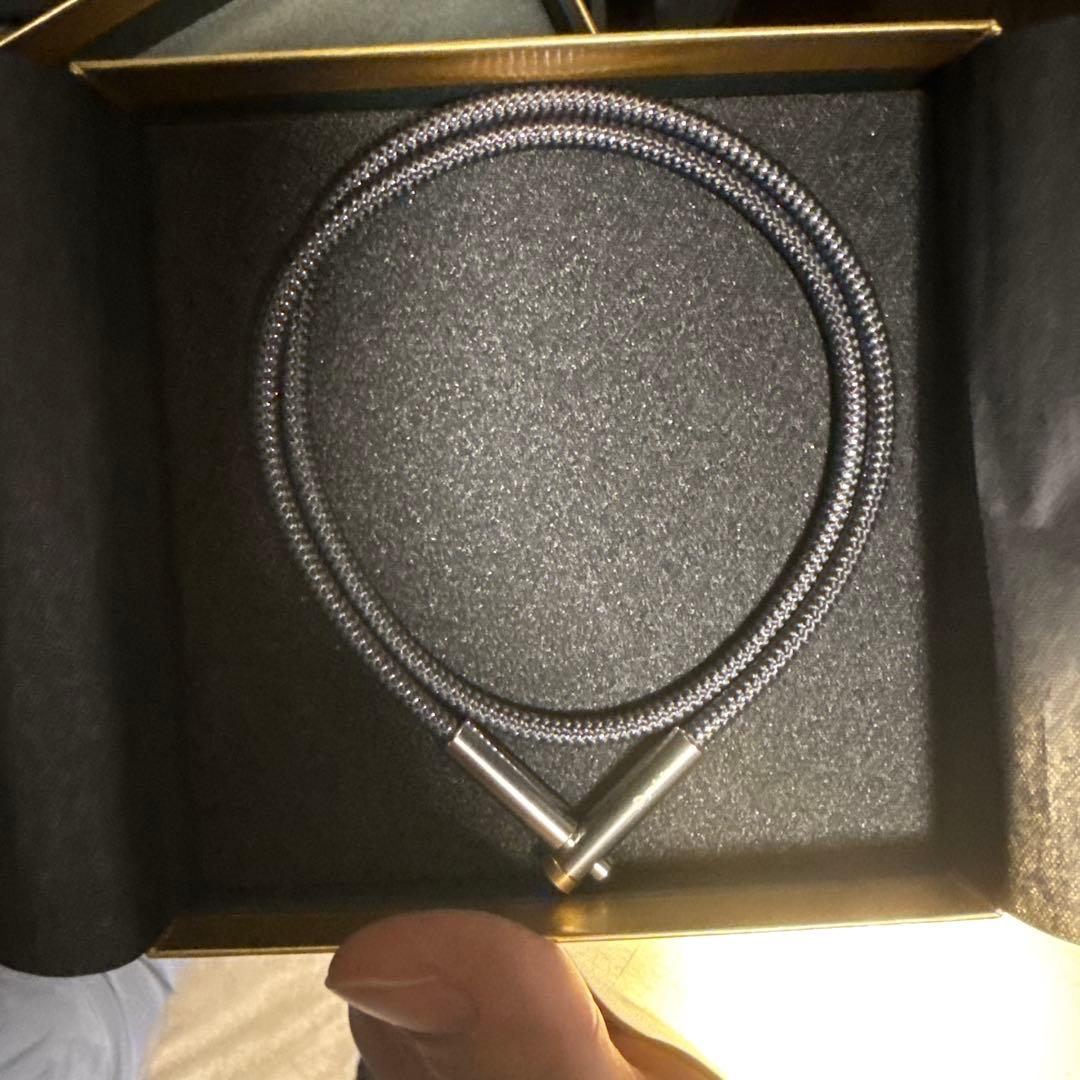 phiten RANUWAダンネックレス シルバー