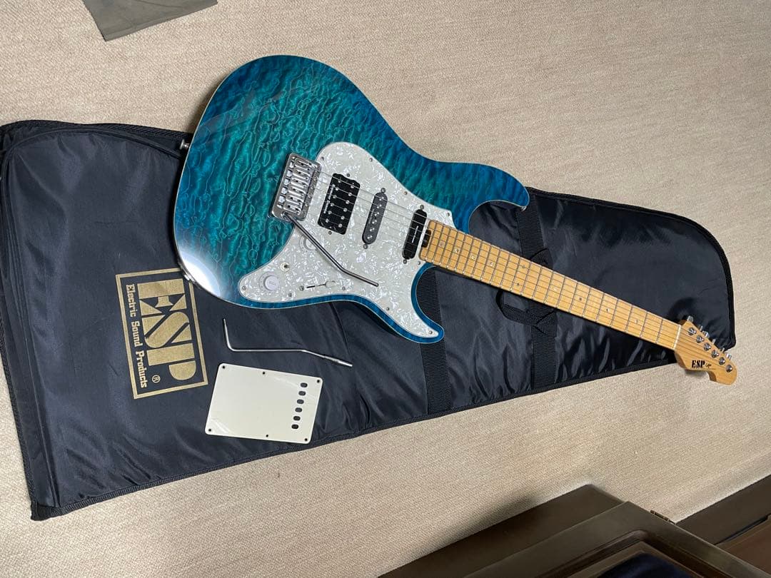 ESP snapper CTM プロ仕様