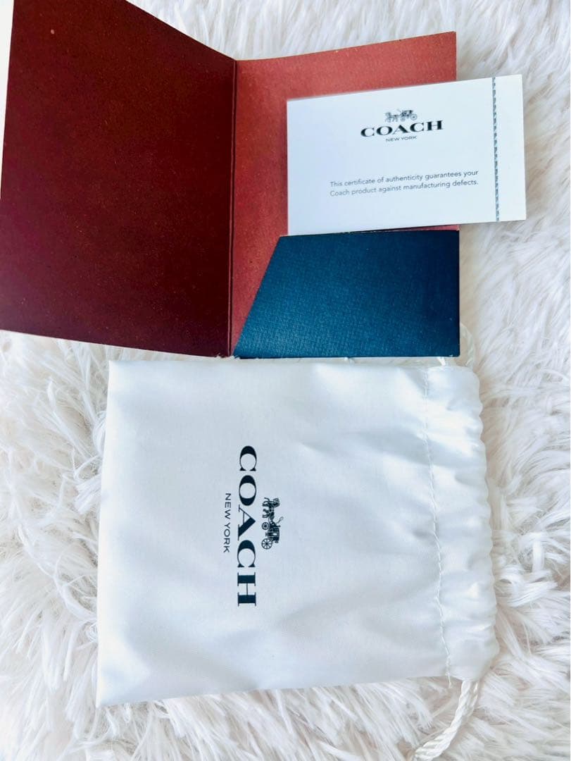 ✨極美品✨COACH　コーチ　キーホルダー　チャーム　恐竜　レキシー　ダイナソー