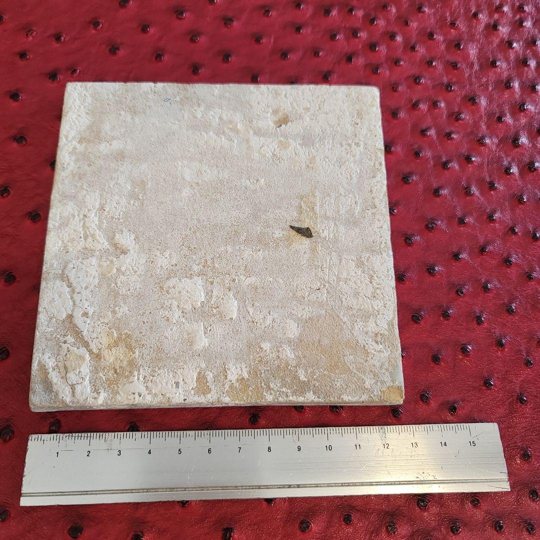 デルフトタイル うさぎ柄