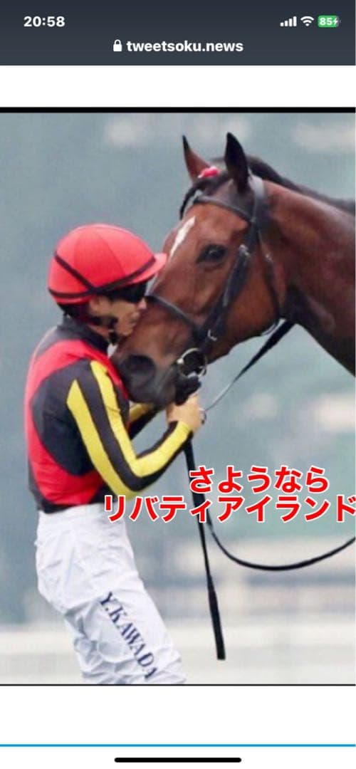 リバティアイランド　三冠記念カード　非売品　新品未使用　クリアケース入り　レア