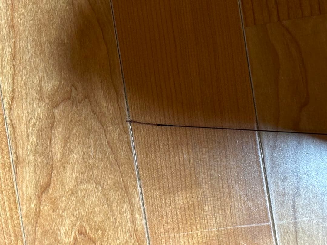 DAIWA SEIRYU X 硬調54