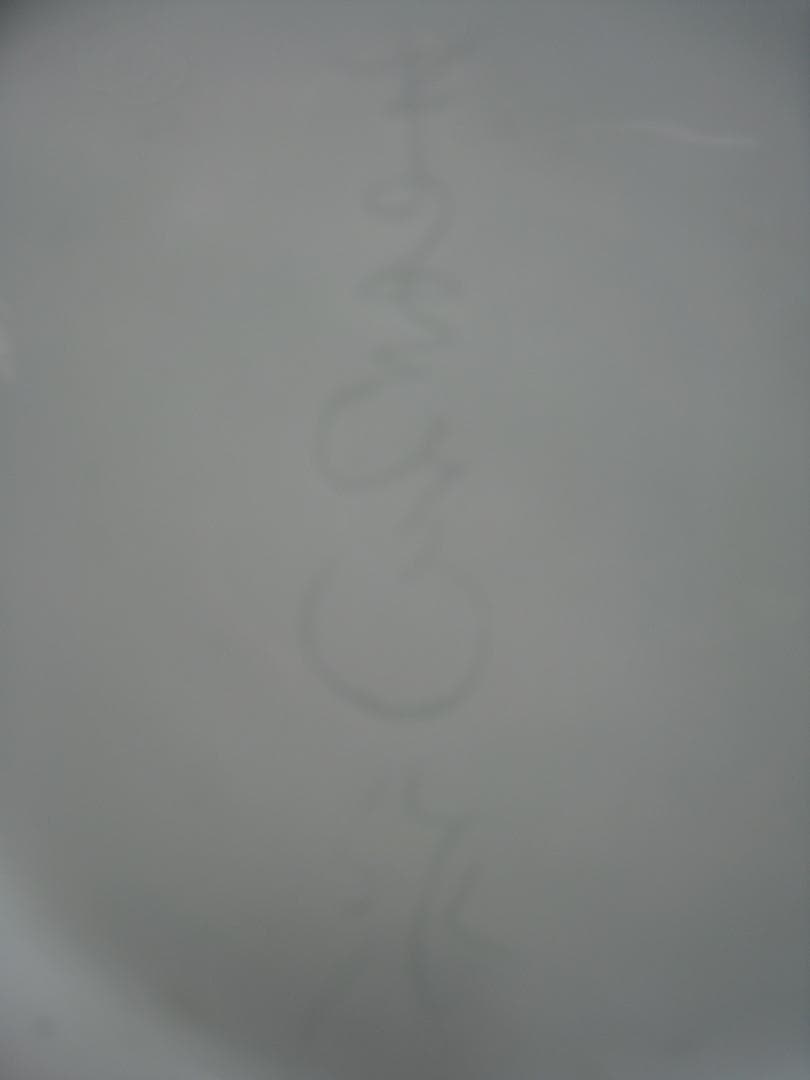 伊万里焼【色絵薔薇唐草文花瓶】森正洋（まさひろ作）高さ約46㎝