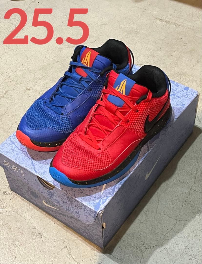 シューズ(男性用) Nike JA1 EP HANGER 25.5cm