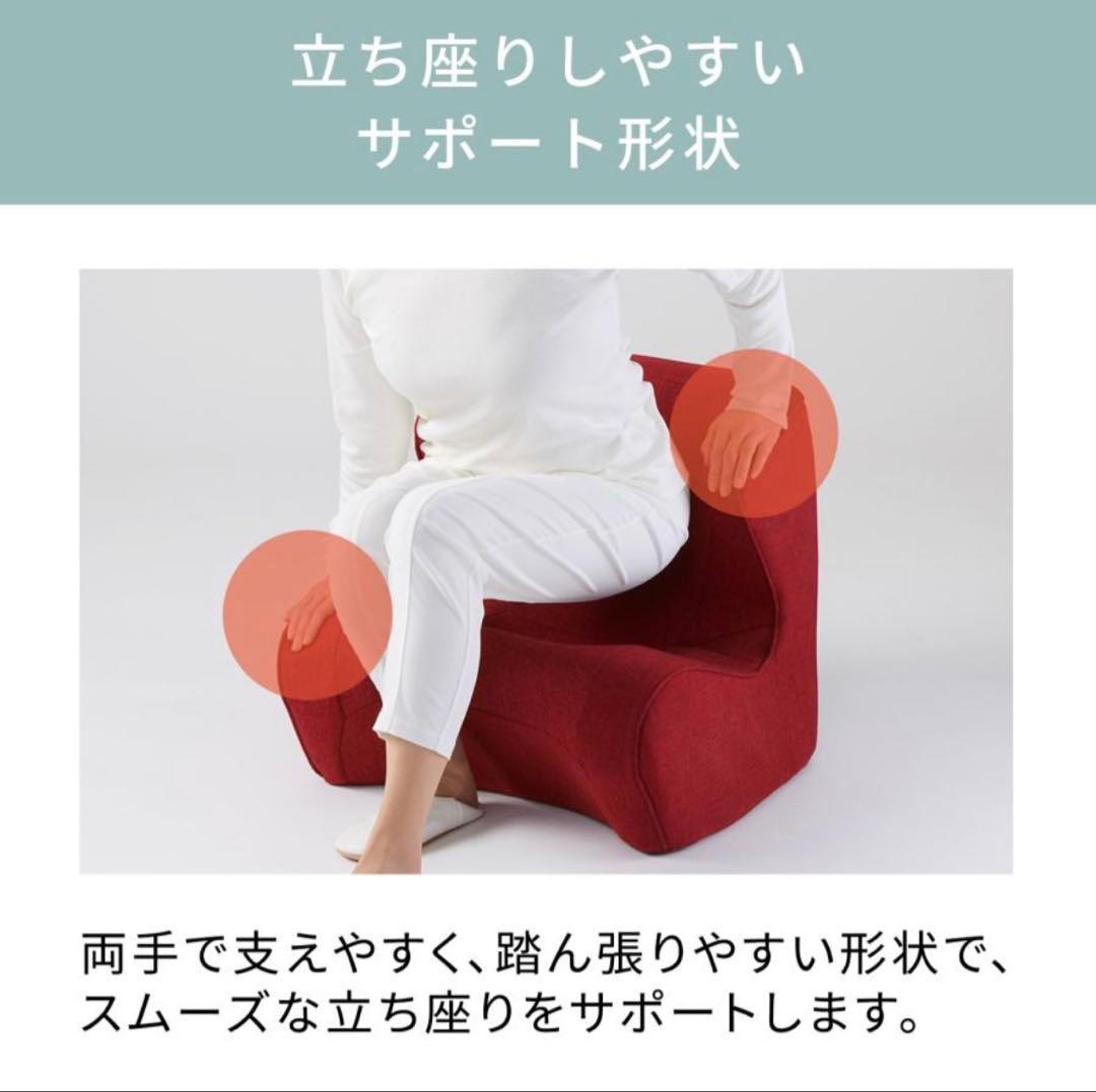MTG スタイル ドクター チェア Style Dr.CHAIR ブラウン