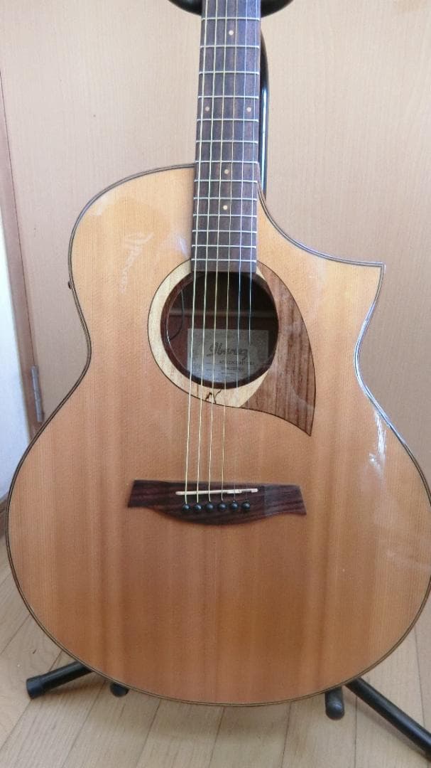 ❤️佐藤 淳一郎商品になります。(￣^￣)ゞ　アイバニーズ AEW22CD