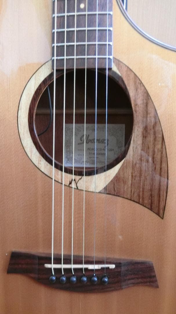 ❤️佐藤 淳一郎商品になります。(￣^￣)ゞ　アイバニーズ AEW22CD