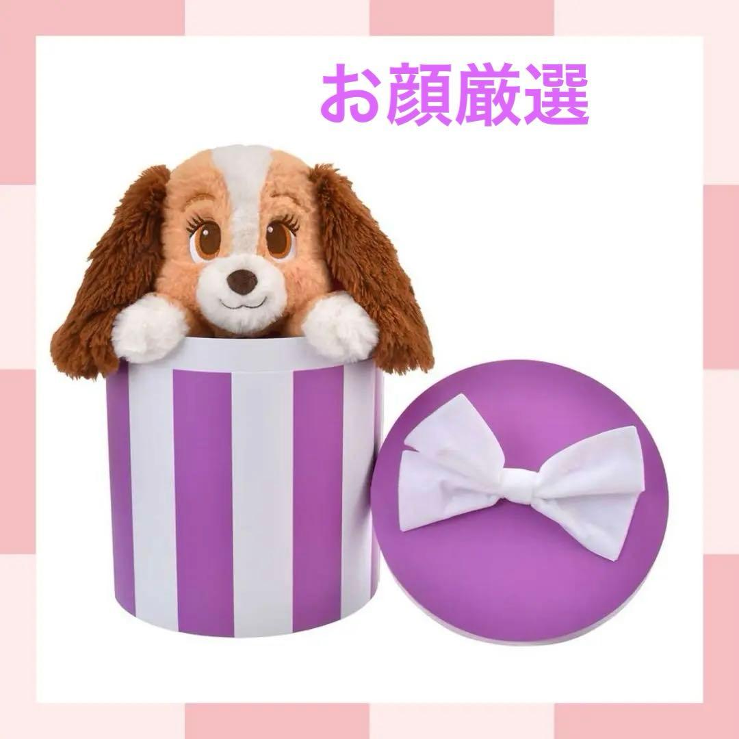 レディ ぬいぐるみ ボックス入り LADY AND THE TRAMP 70TH