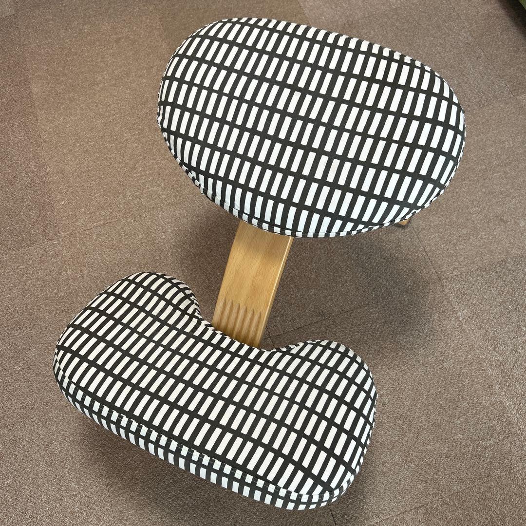 バランスイージー　社外カバー付き　汚れあり