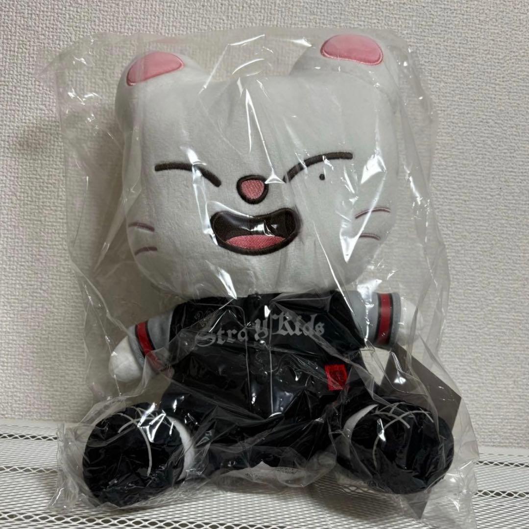 StrayKids スキズ dominATE ジニレット エコパ