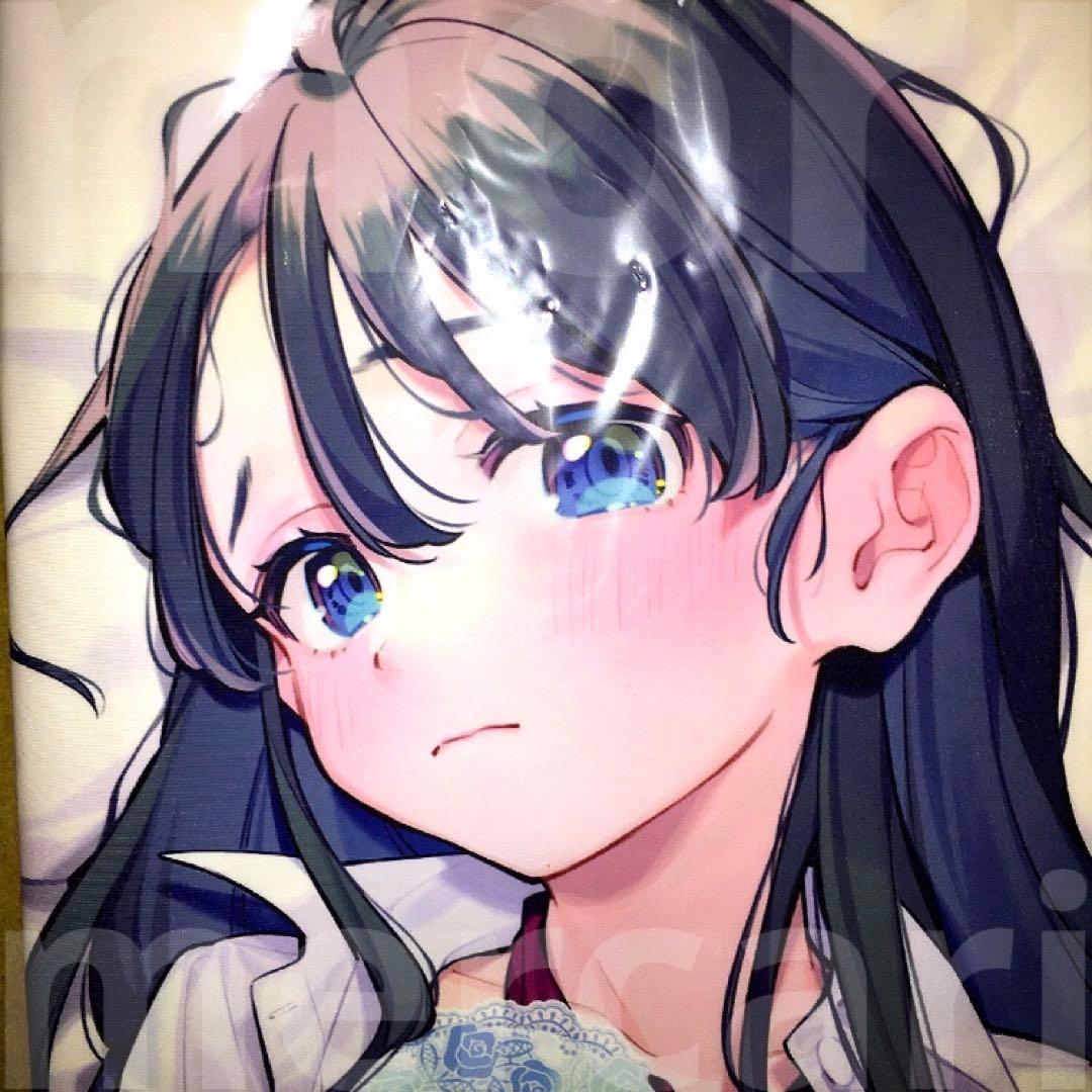 波瑠　抱き枕カバー