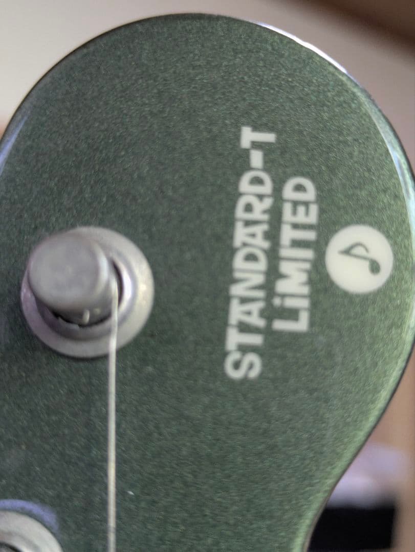 Psychederhythm  STANDARD-T サイケデリズム ギター