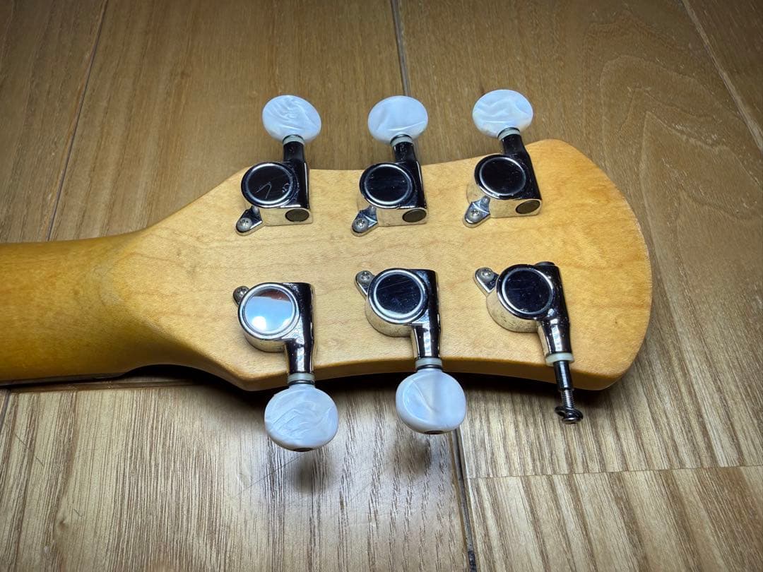 Pignose ピグノーズ 楽器 アンプ内蔵ミニギター