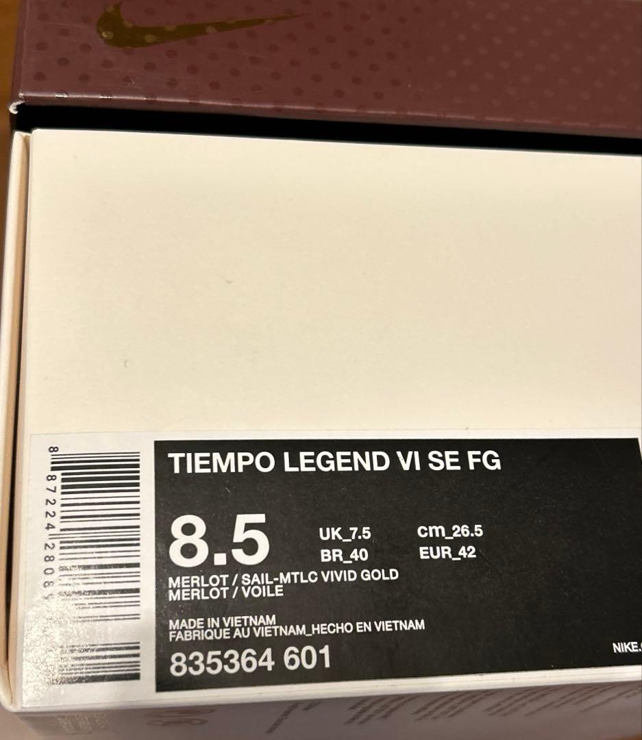 【新品未使用】NIKE TIEMPO LEGEND VI SE FG ピルロ