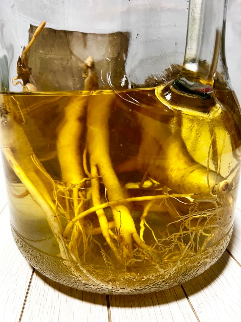 島根県産　高麗人参　古酒　24年もの　朝鮮人参