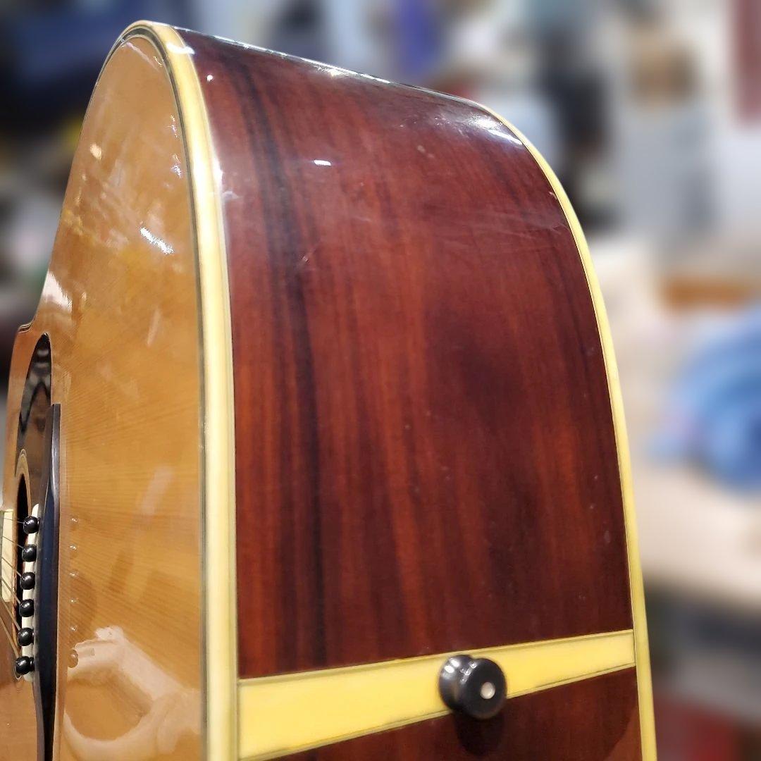 Morris W-40 アコースティックギター